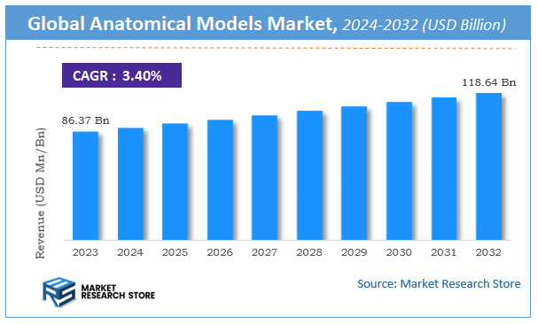 Anatomical Models Market Size