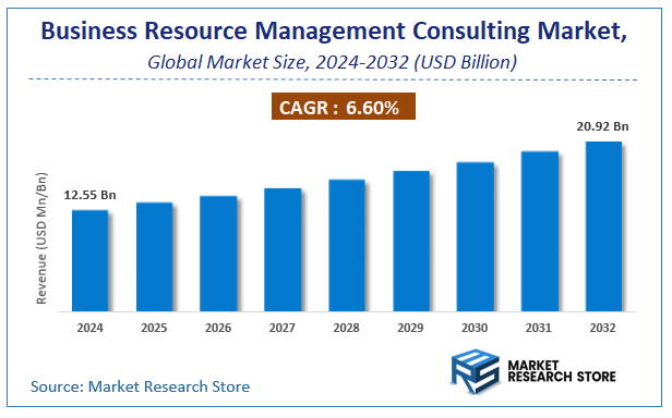 Business Resource Management Consulting Market Size