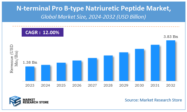N-terminal Pro B-type Natriuretic Peptide Market Size
