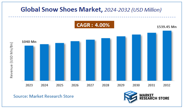 Snow Shoes Market Size