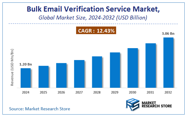 Bulk Email Verification Service Market Size